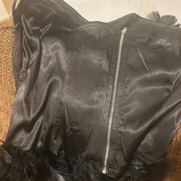 Black Swan Costume - Picture 2 of 6